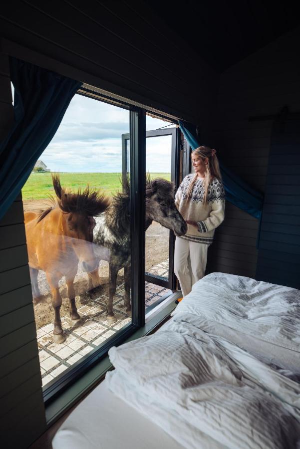 Sleeping With The Horses Lejlighed Hvolsvöllur Eksteriør billede