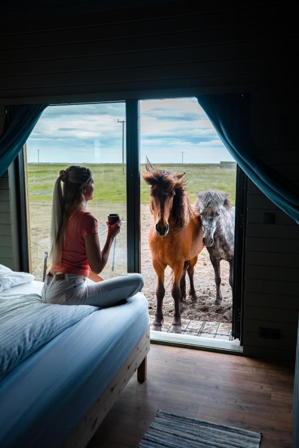 Sleeping With The Horses Lejlighed Hvolsvöllur Eksteriør billede