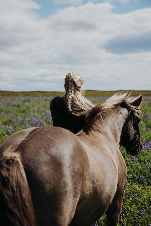 Sleeping With The Horses Lejlighed Hvolsvöllur Eksteriør billede