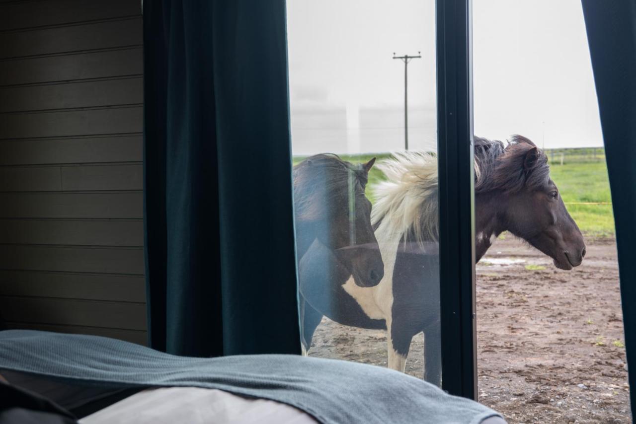 Sleeping With The Horses Lejlighed Hvolsvöllur Eksteriør billede