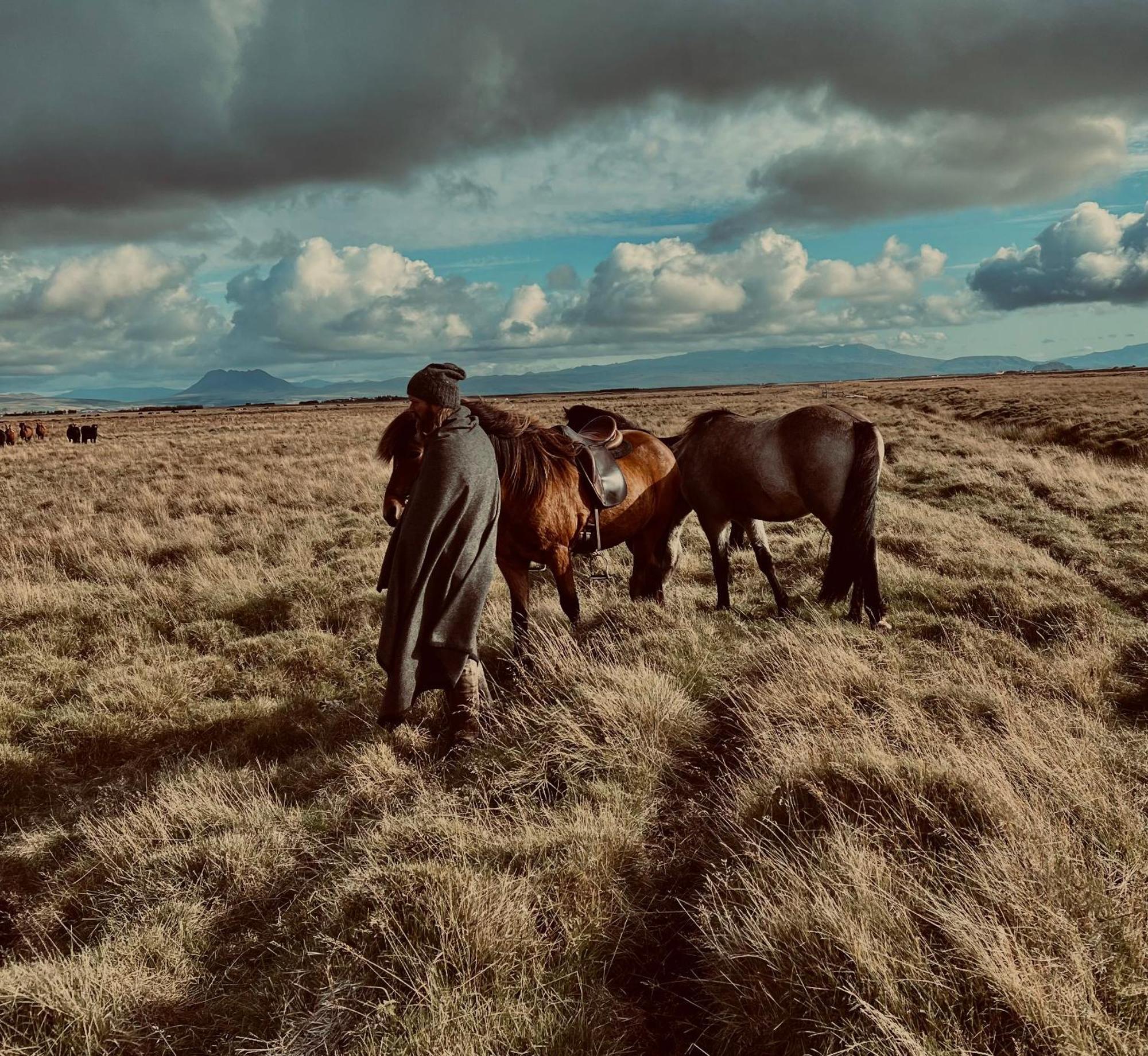 Sleeping With The Horses Lejlighed Hvolsvöllur Eksteriør billede